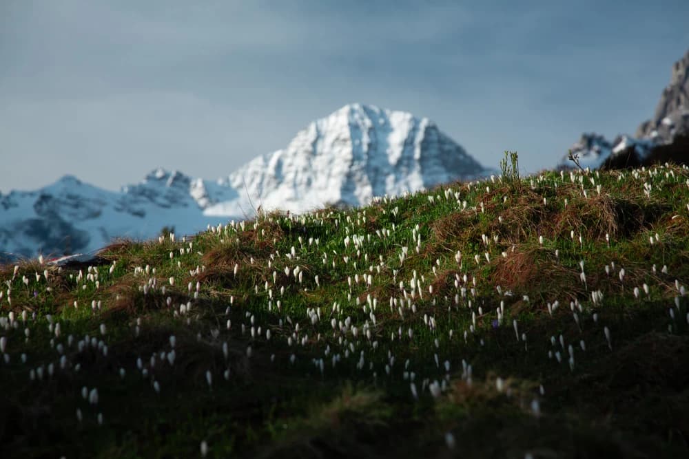 Landscape photography excursion at Mürren