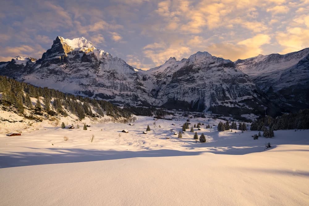 Grindelwald Winter Photography Excursion