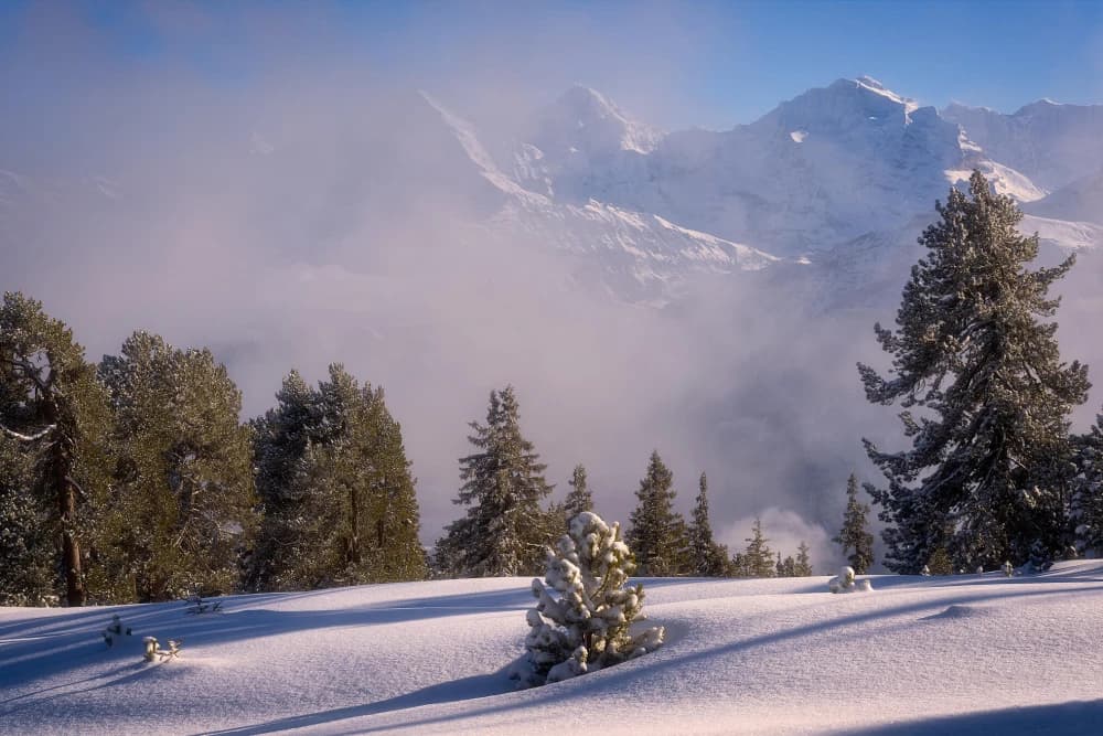 Niederhorn Winter Photography Excursion