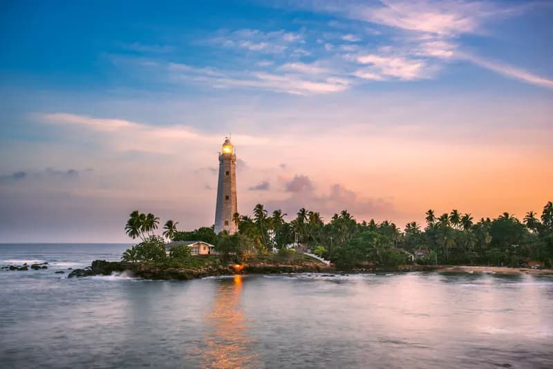 Hamda Portfolio image