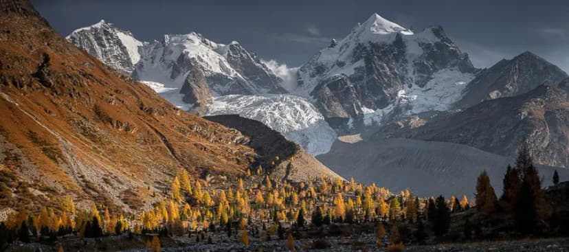 Manuel Portfolio image