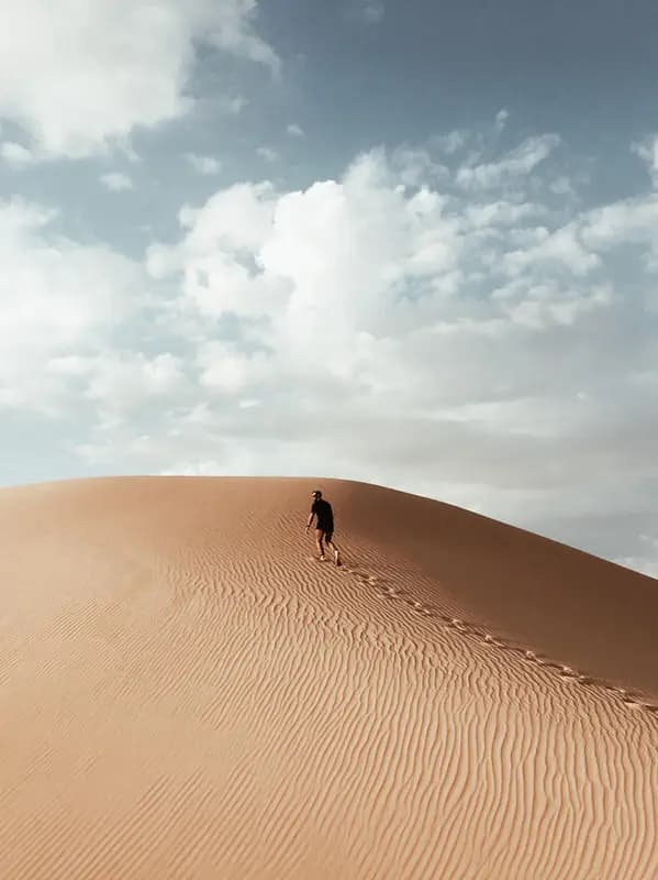 Daniel Portfolio image