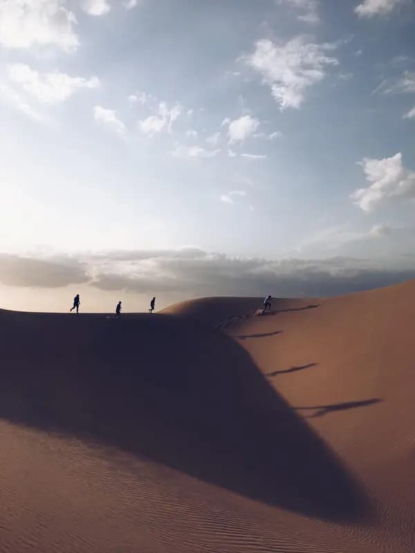 Daniel Portfolio image