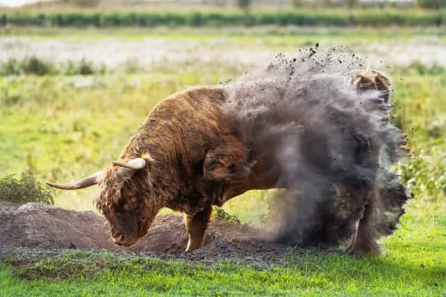 Gianmarco Cicuzza portfolio image 3