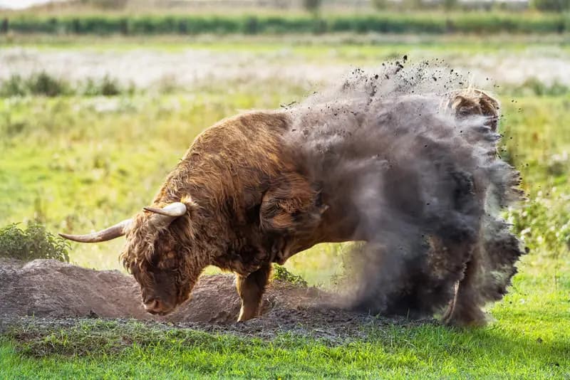 Gianmarco Portfolio image