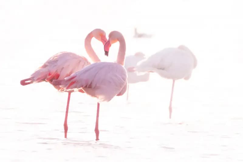 Gianmarco Portfolio image