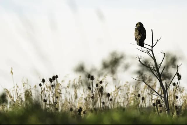 Gianmarco Cicuzza portfolio image 2