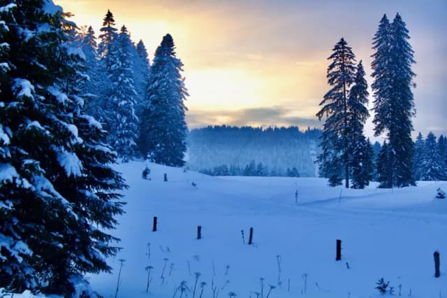 Catherine Lewis portfolio image 2