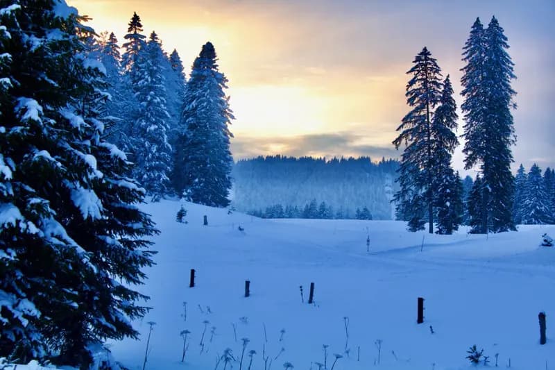 Catherine Portfolio image