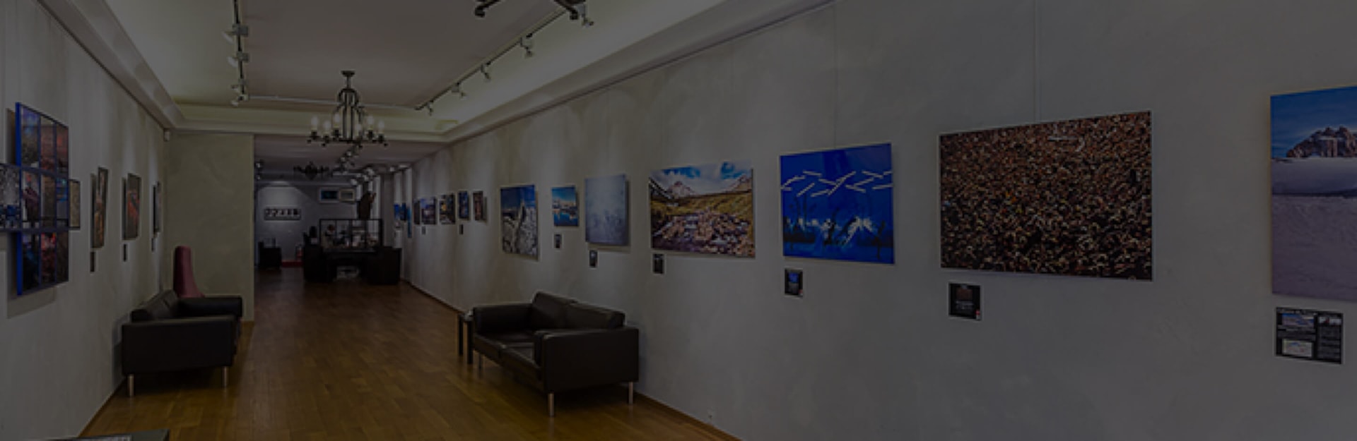 B2B-Unternehmensanfragen