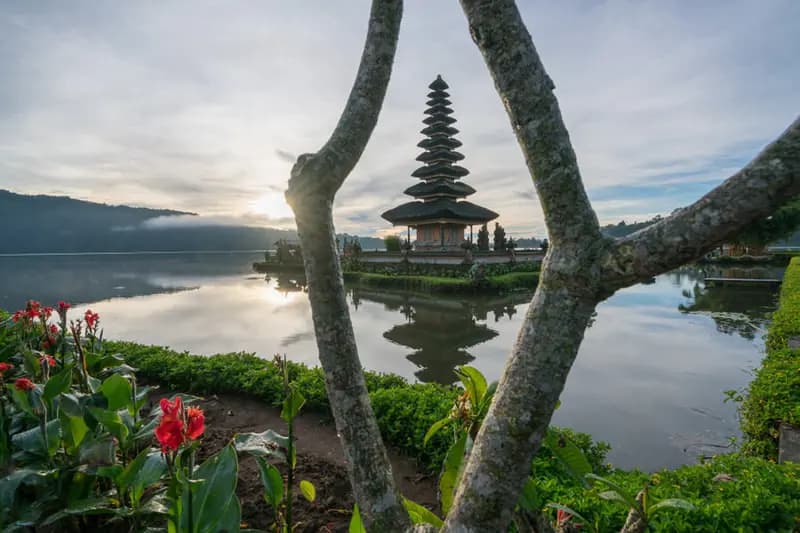 Photo by Stefan Tschumi