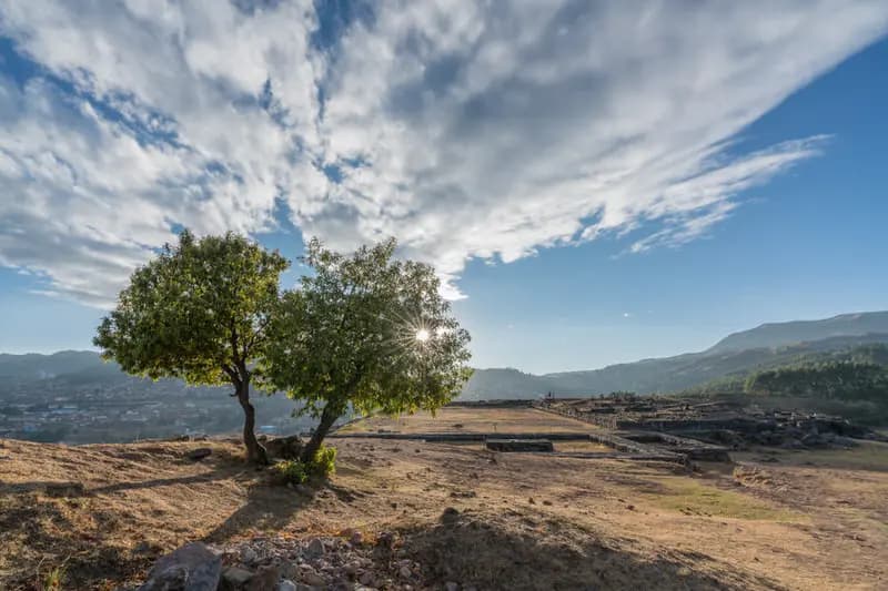 Photo by Stefan Tschumi