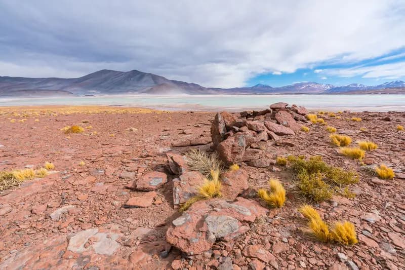 Photo by Stefan Tschumi