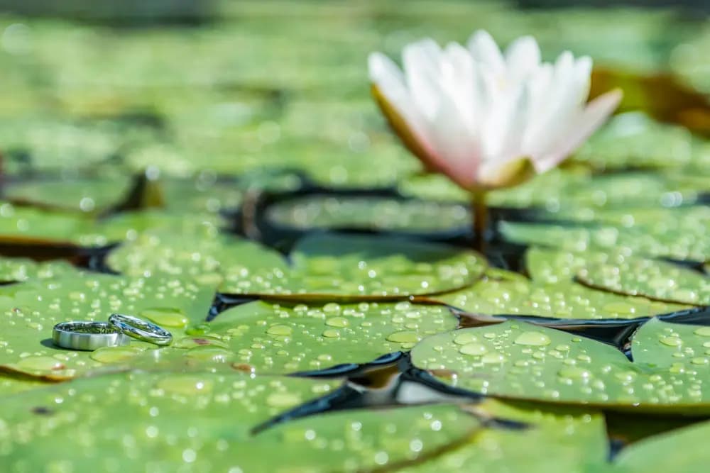 Photo by Flavia Müller