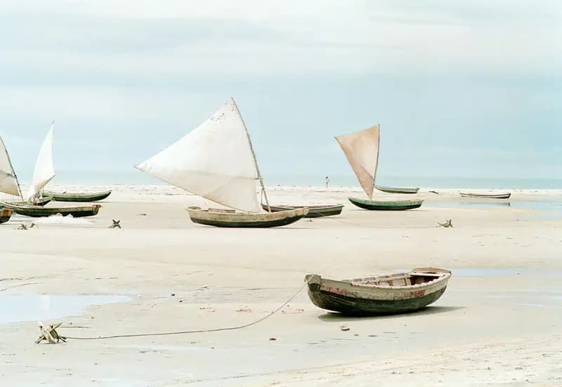 Featured photo by Roman Stöppler