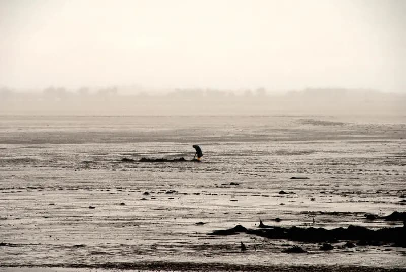 Photo by Simon Chamay