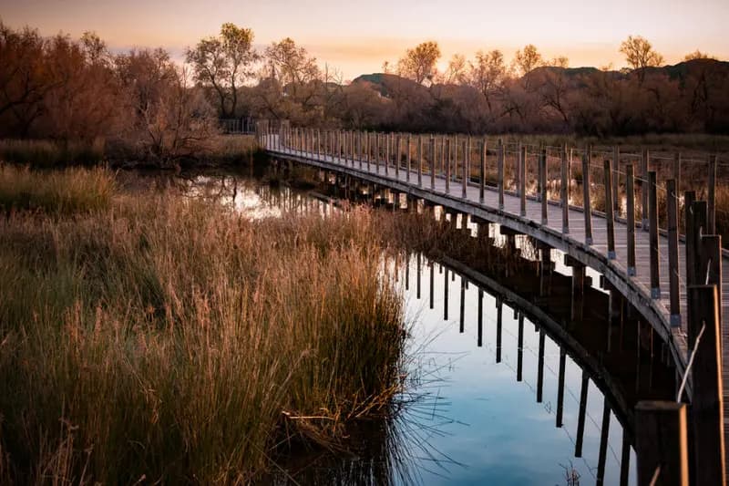 Photo by Simon Chamay
