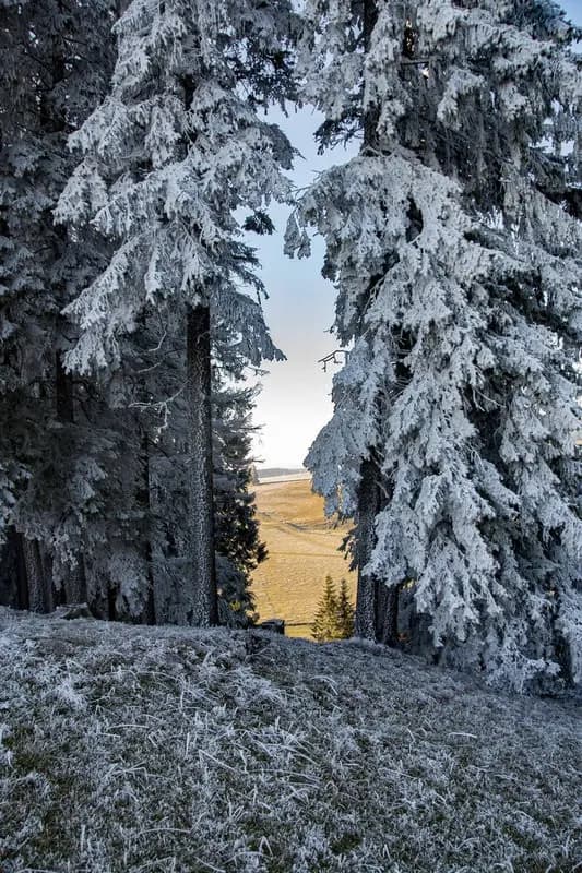 Photo by Simon Chamay