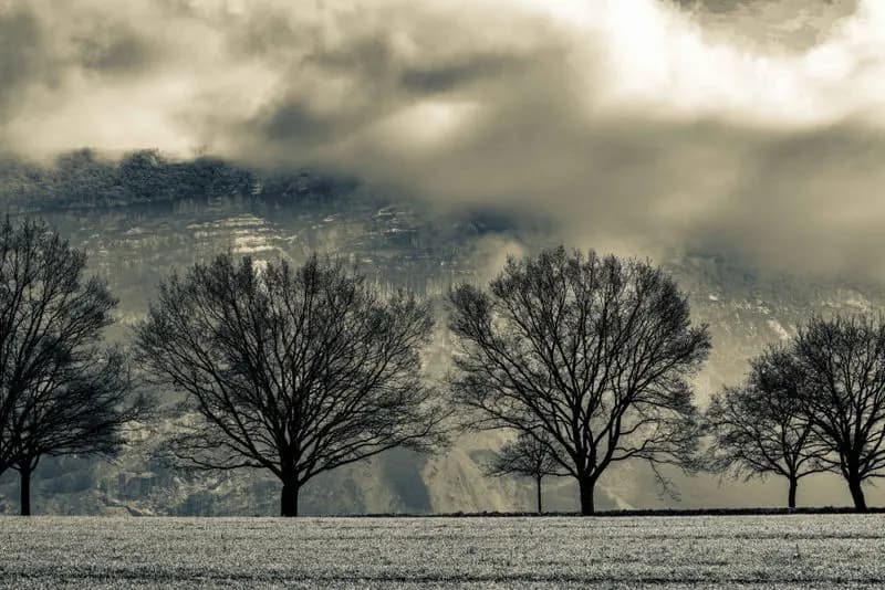 Photo by Simon Chamay