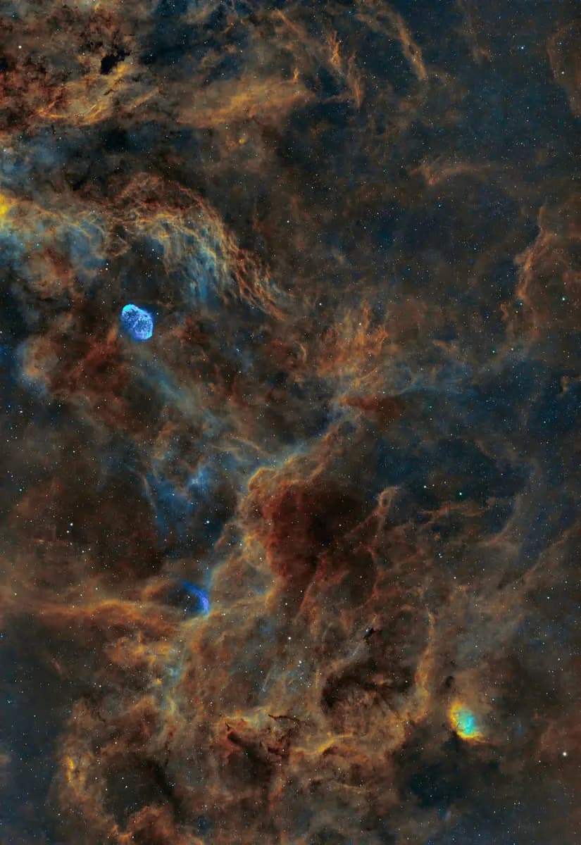 Photo by Xavier Peillon