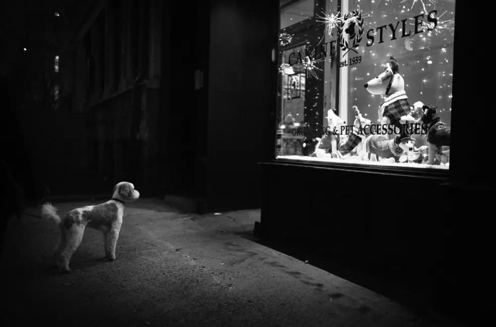 Photo by Phil Penman