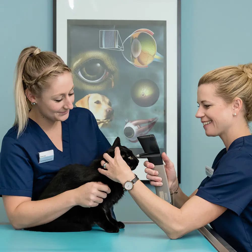 Photo by Andi Keller