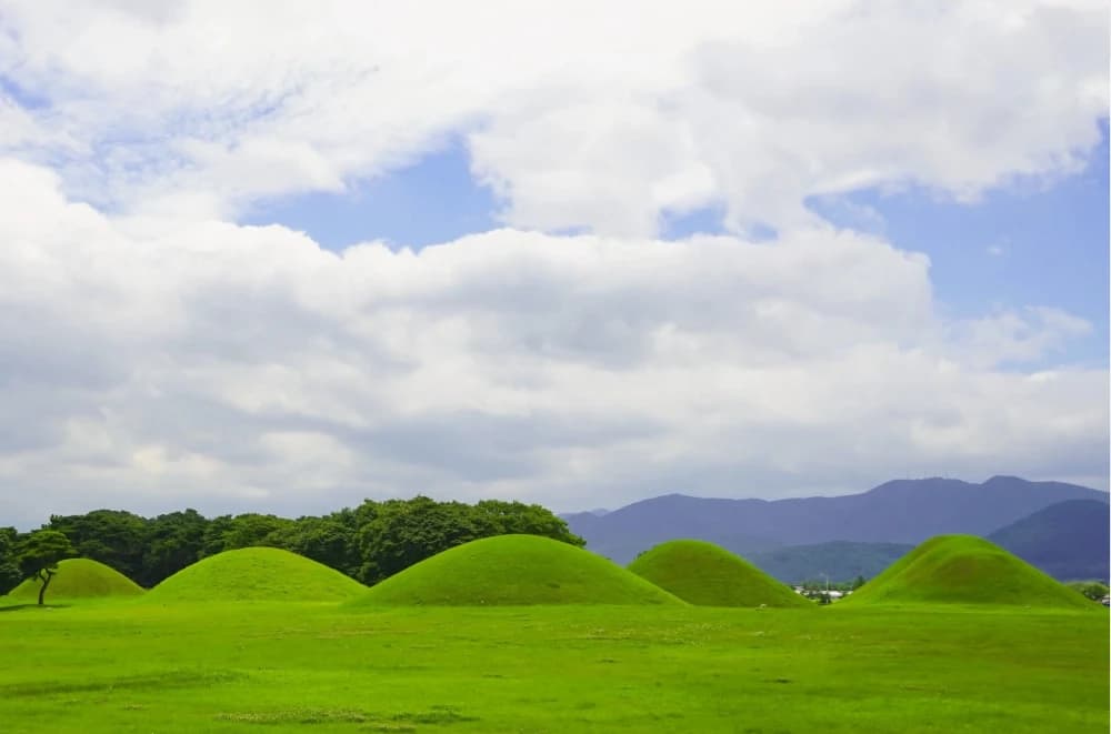 Photo by Julie Mathys