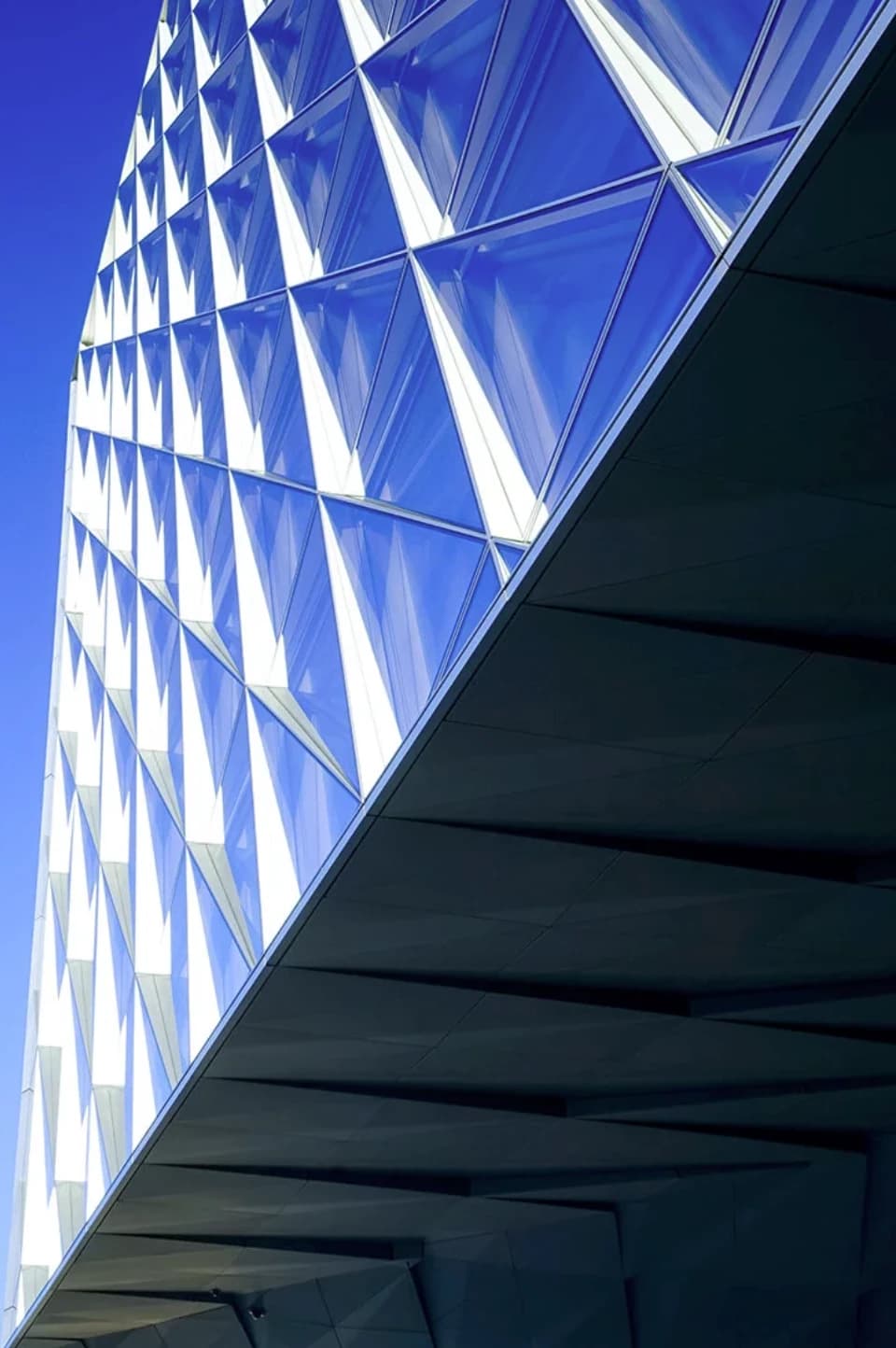 Photo by Julie Mathys