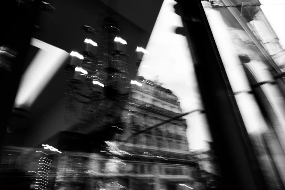 Photo by Lara Hauser