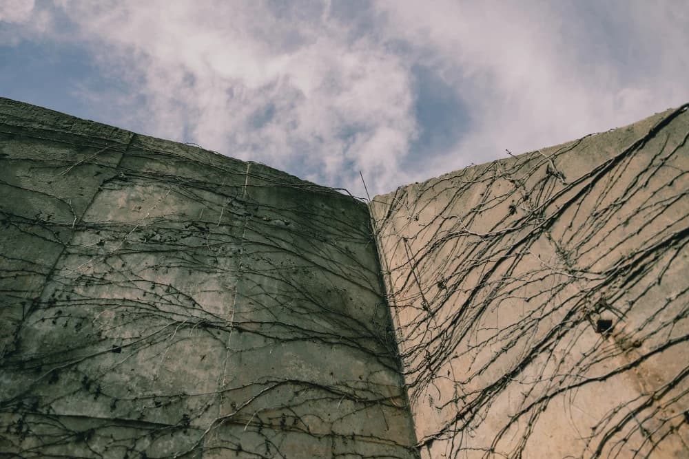 Photo by Lara Hauser