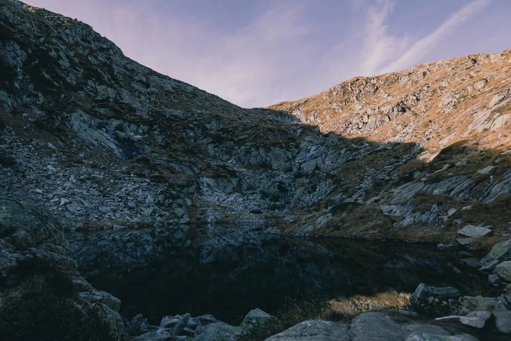 Photo by Lara Hauser