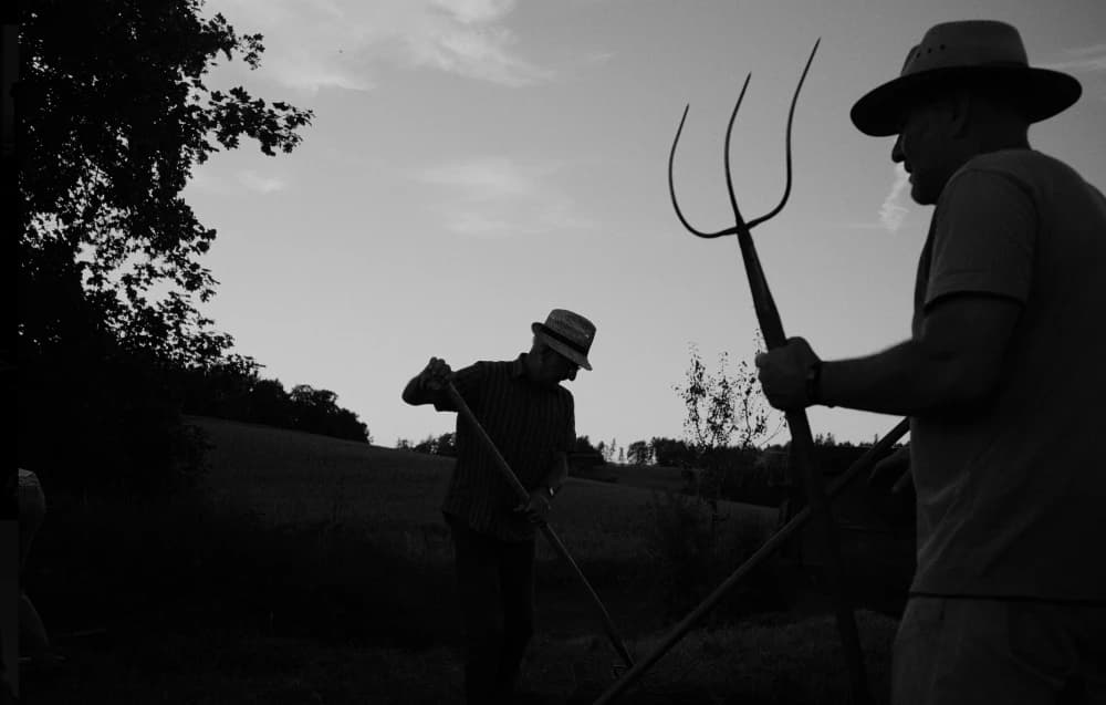 Photo by Florian Strandl