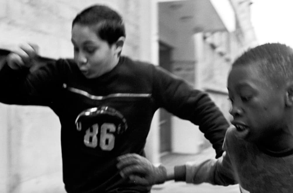 Photo by Florian Strandl