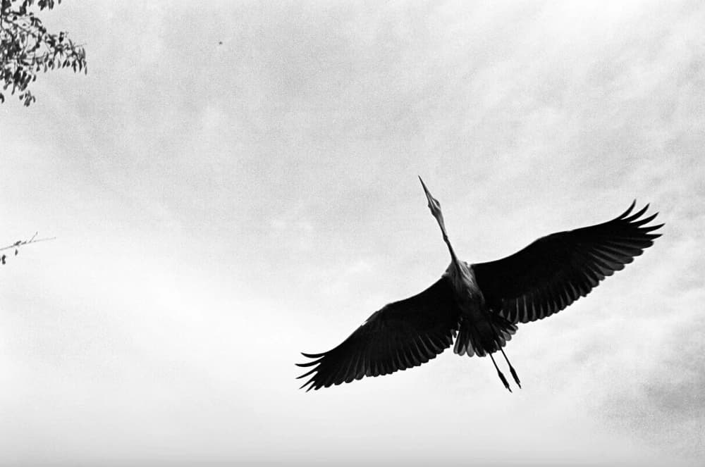 Photo by Florian Strandl