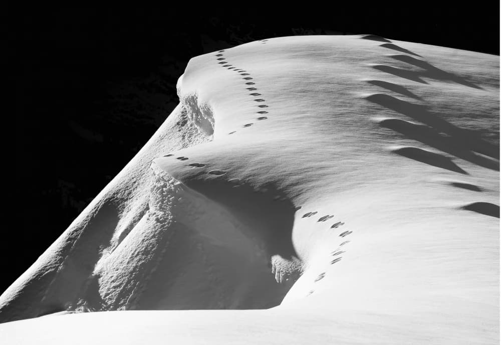 Photo by Katharina Bertaggia