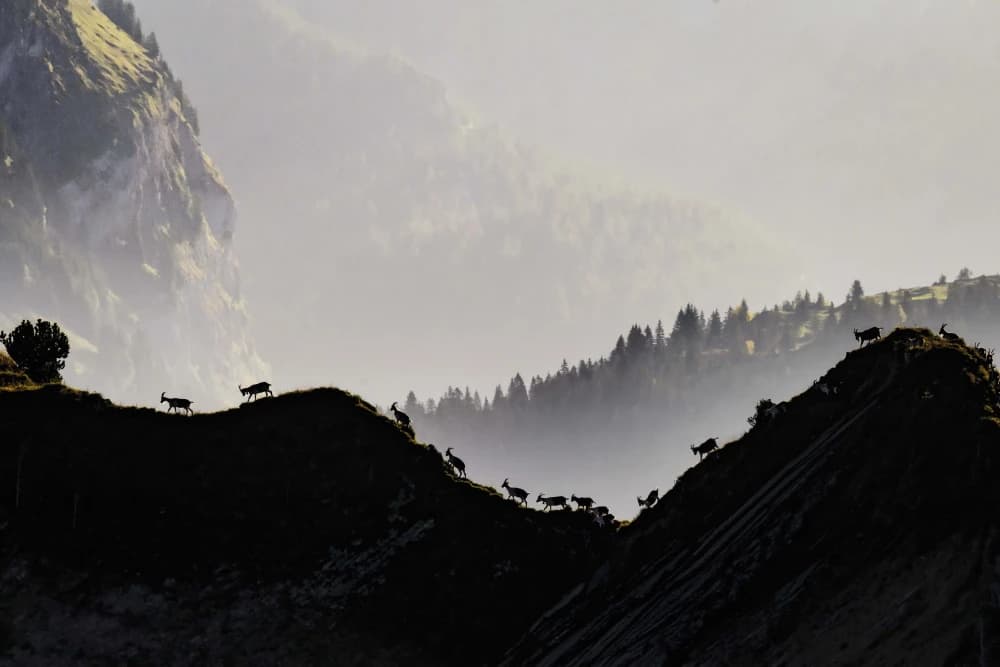 Photo by Katharina Bertaggia