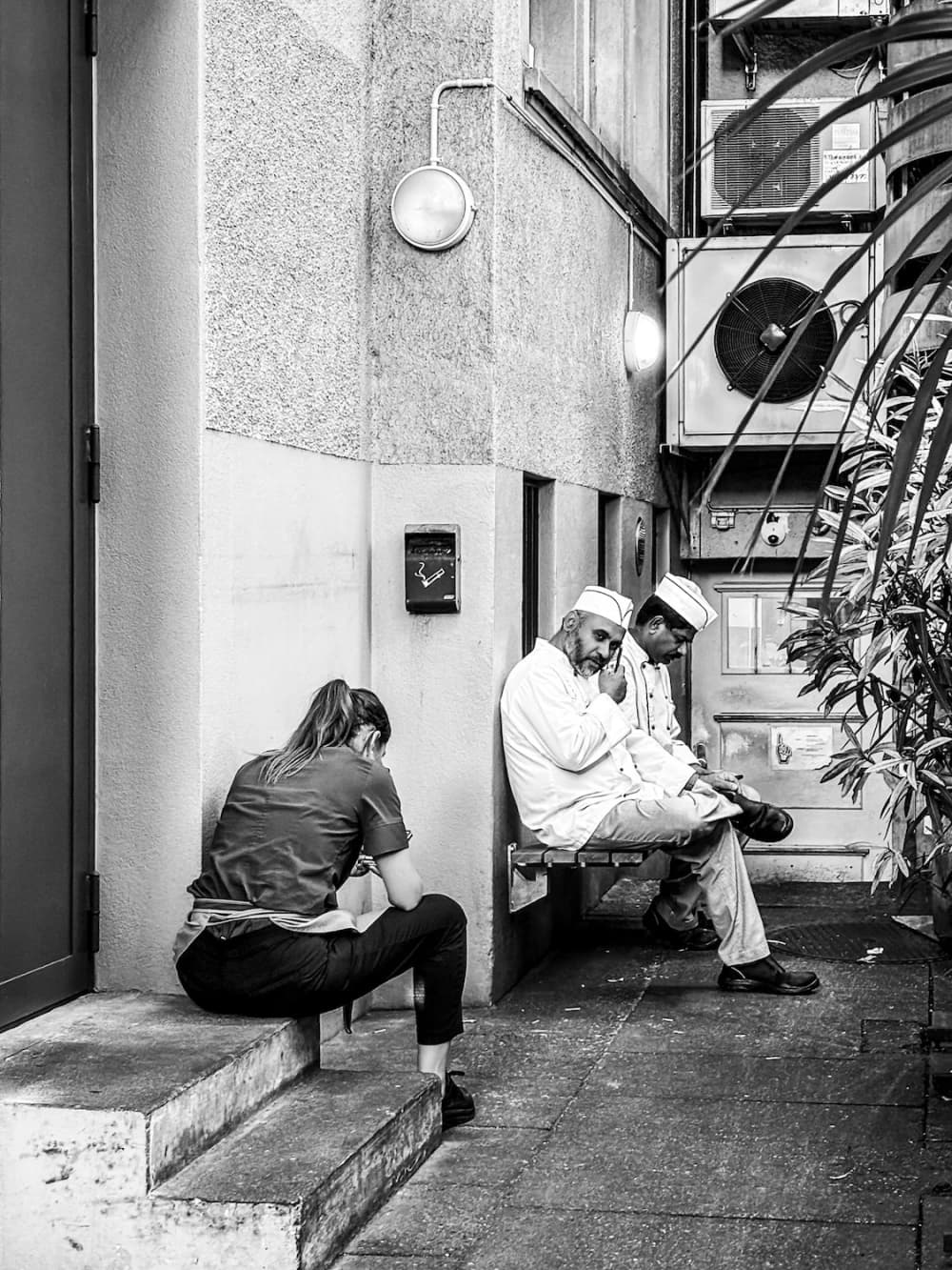 Photo by Dietmar Bachmann