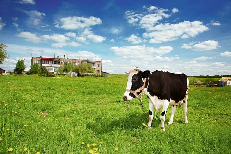 Photo by Ina Strohbücker