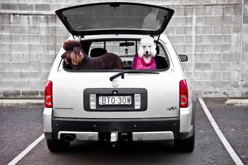 Photo by Sebastian Matthias