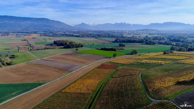 Photo by Olivier Riethauser