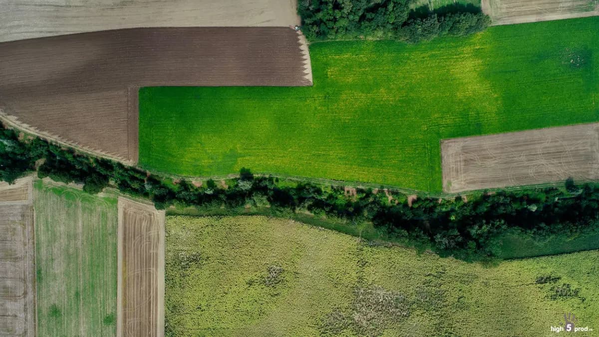 Photo by Olivier Riethauser