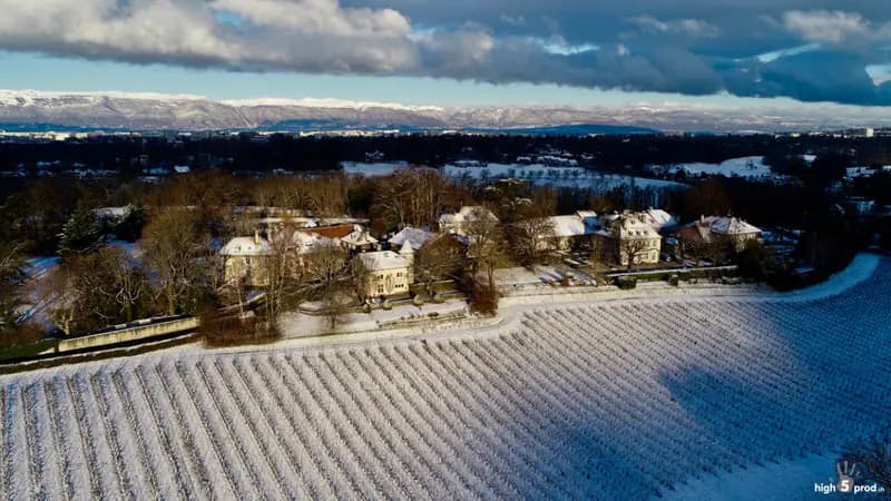 Photo by Olivier Riethauser