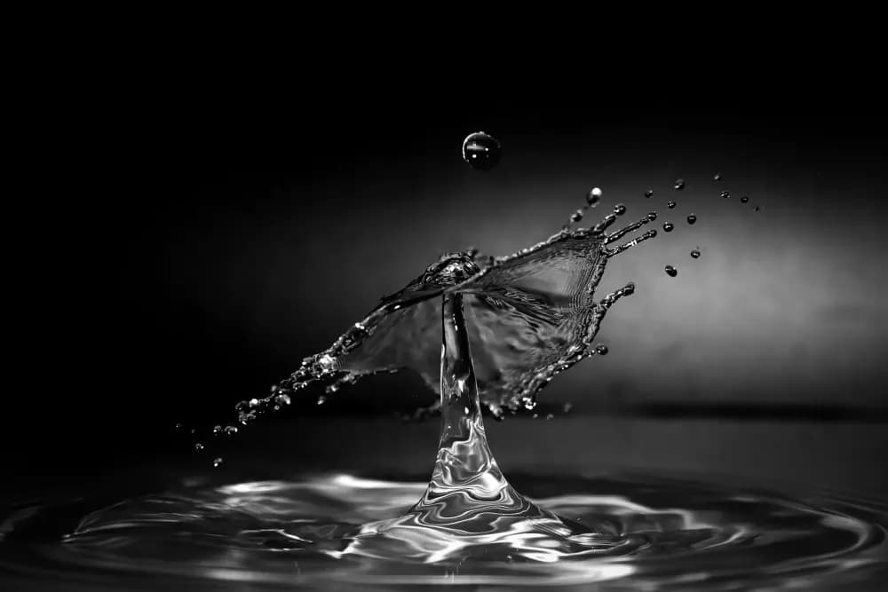 1. Platz Public Voting