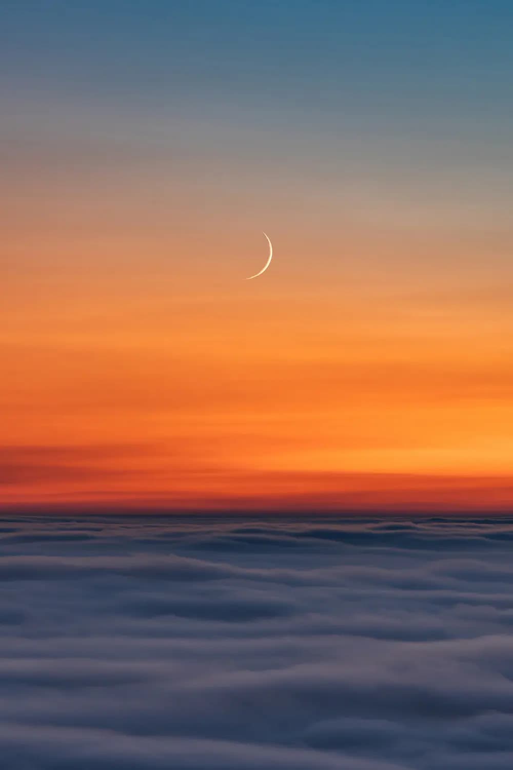 2. Platz Public Voting