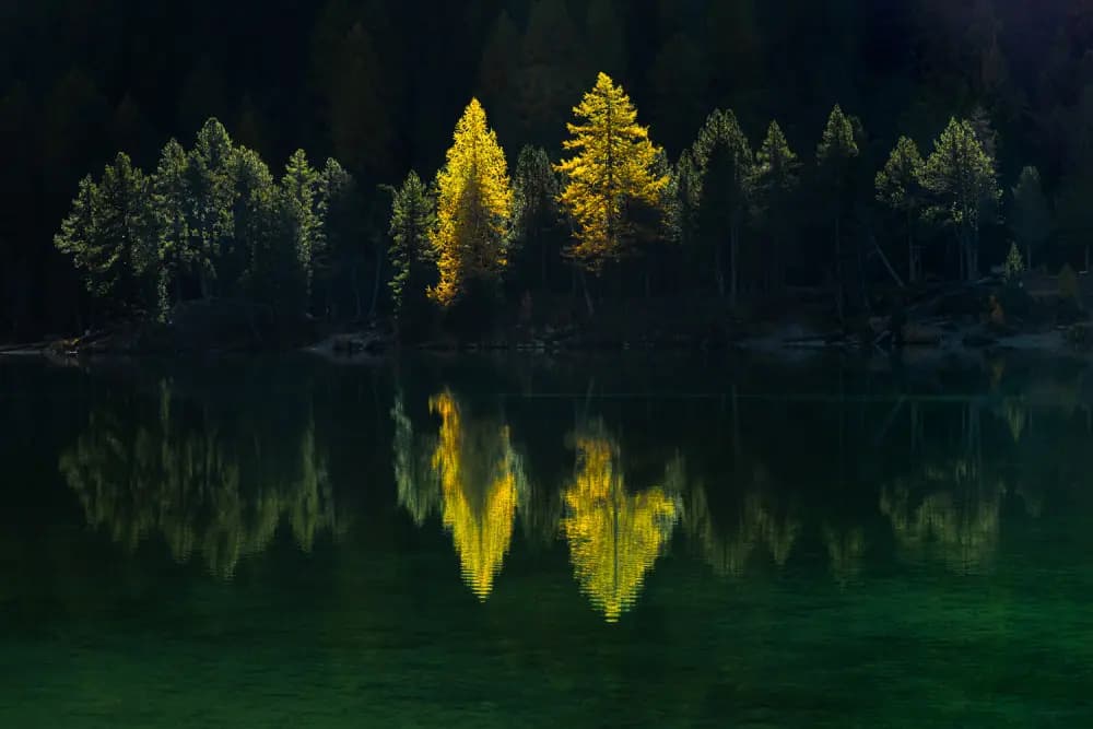 Lume Cube Panel Pro RGB & Lowepro Trekker Lite Backpack