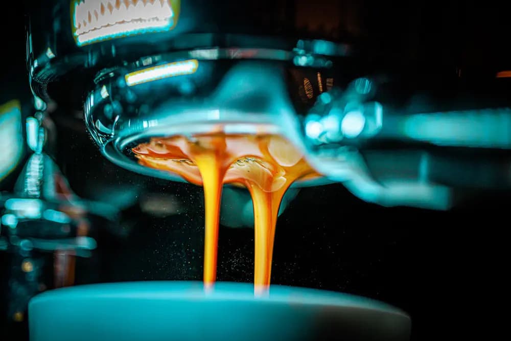 Lowepro Trekker Lite SLX 120 + GearUp Wrap