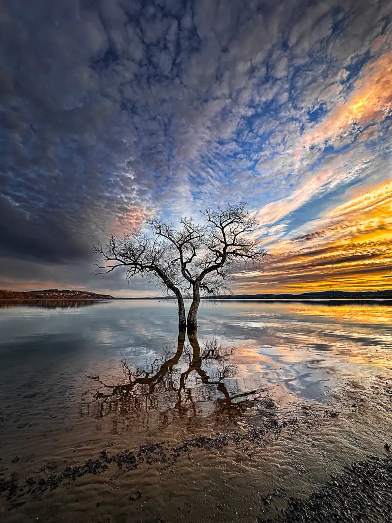 SPC Photo Trip Voucher worth 1500 CHF