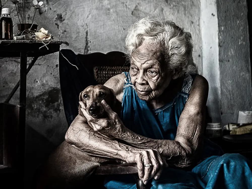 Shimoda action V30 starter kit