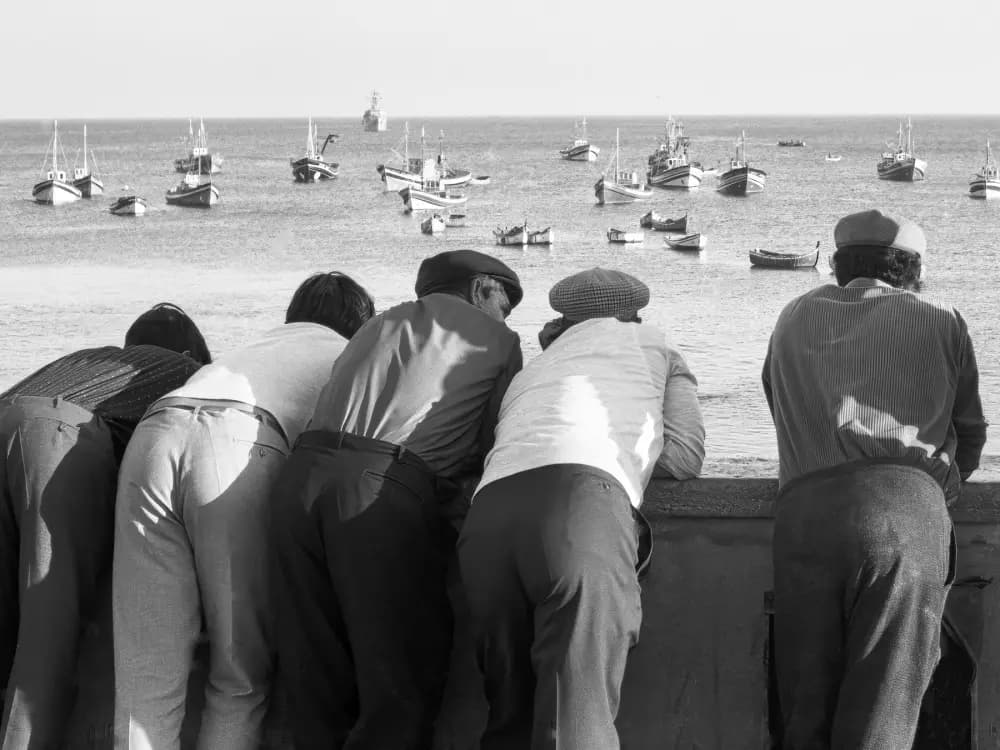 Tenba Solstice backpack