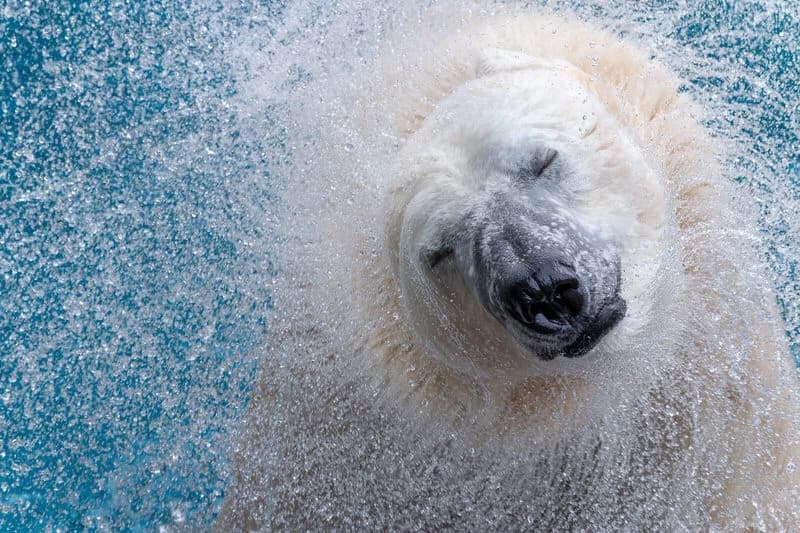 Jury prize winner: Canon camera kit